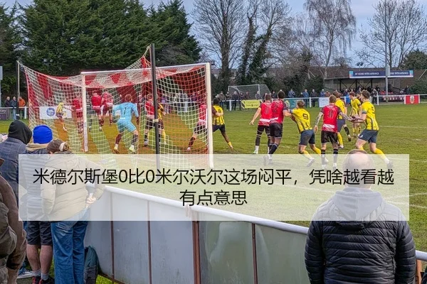 mi-de-er-si-bao-bi-mi-er-wo-er-zhe-chang-men-ping-ping-sha-yue-kan-yue-you-dian-yi-si-2-728.jpg