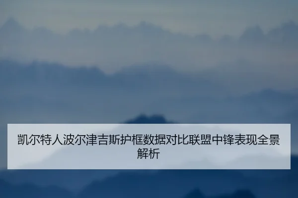 凯尔特人波尔津吉斯护框数据对比联盟中锋表现全景解析